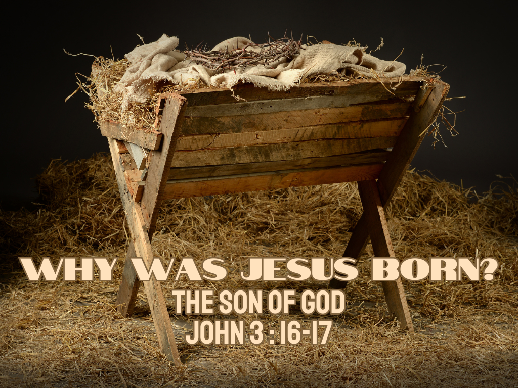 Why Was Jesus Born? The Son of God