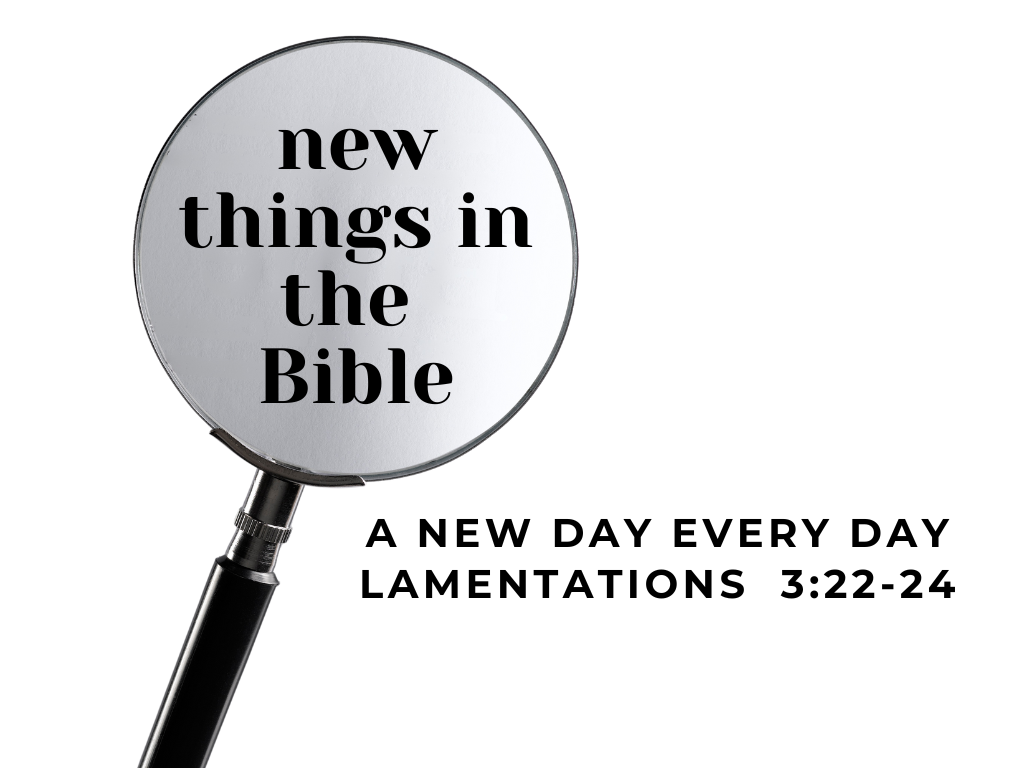 New Things in the Bible: A New Day Every Day